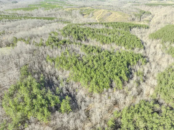 a view of a lush green space with sea