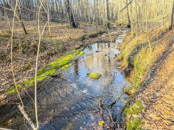 a vase of flowers sitting on a floor
