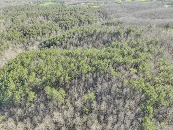 a view of a dry field
