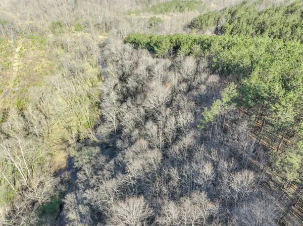 an aerial view of forest