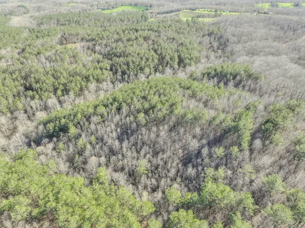 a view of a dry yard with trees