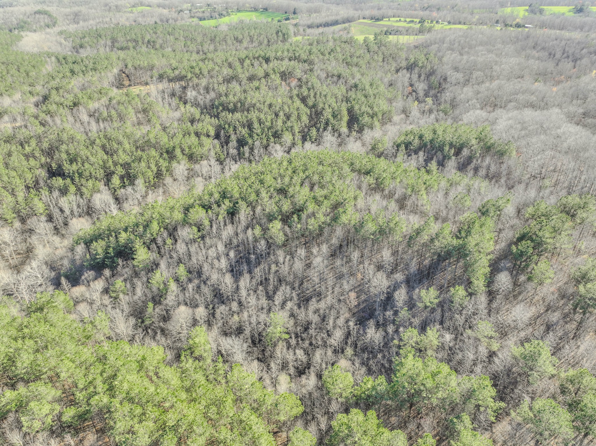 0 Bryant Boswell Road Westpoint, TN 38486 - Photo 23 of 27 a view of a field