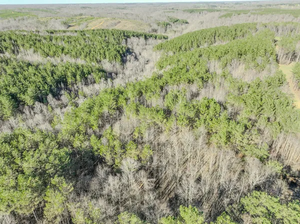 $324,950 | 0 Bryant Boswell Road, Westpoint, TN 38486