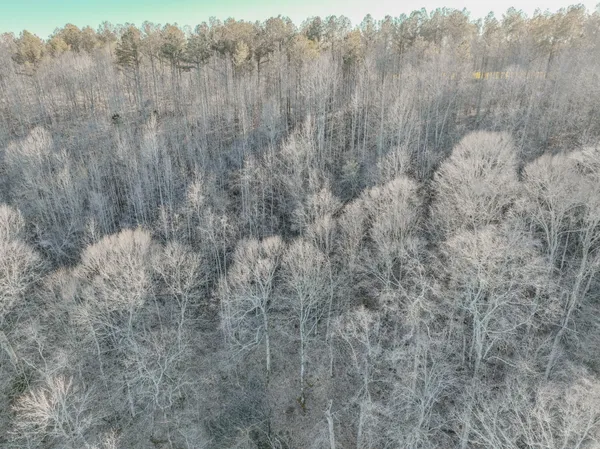 $324,950 | 0 Bryant Boswell Road, Westpoint, TN 38486