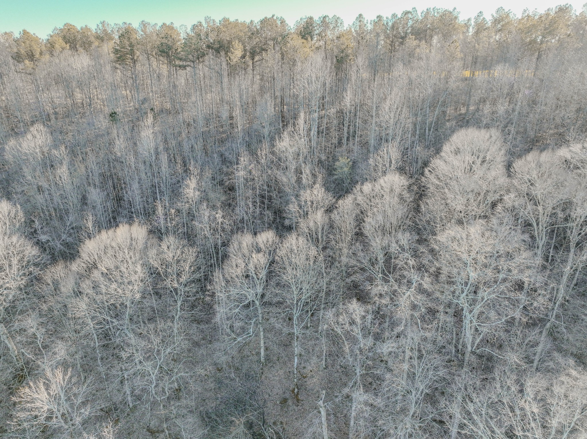 0 Bryant Boswell Road Westpoint, TN 38486 - Photo 25 of 27 a view of a dry field