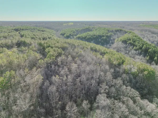 $324,950 | 0 Bryant Boswell Road, Westpoint, TN 38486