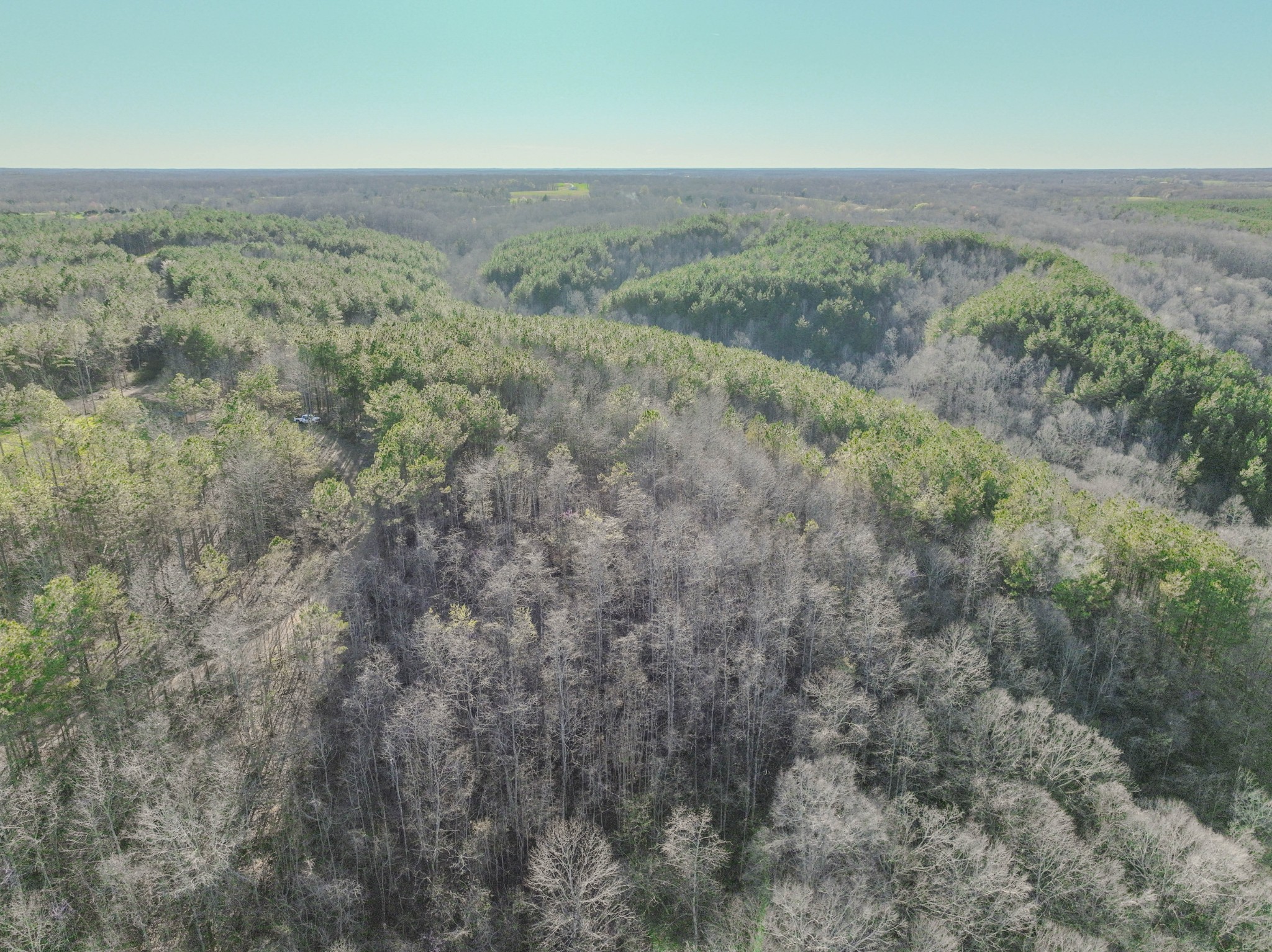 0 Bryant Boswell Road Westpoint, TN 38486 - Photo 26 of 27 an aerial view of forest