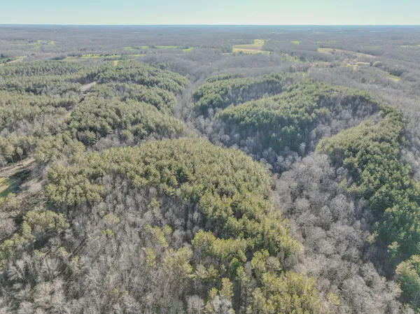 $324,950 | 0 Bryant Boswell Road, Westpoint, TN 38486