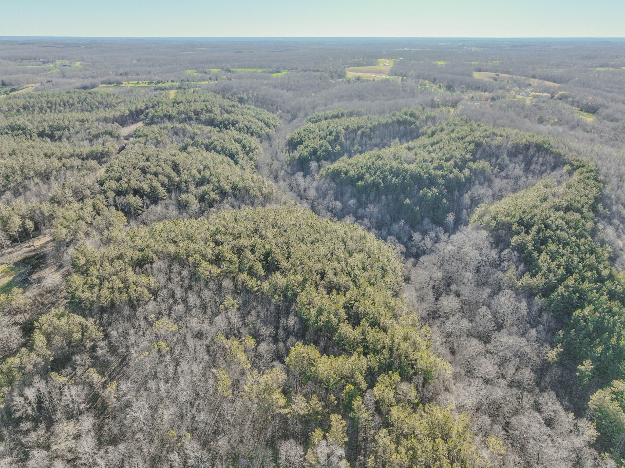 0 Bryant Boswell Road Westpoint, TN 38486 - Photo 27 of 27 a view of a dry yard with trees