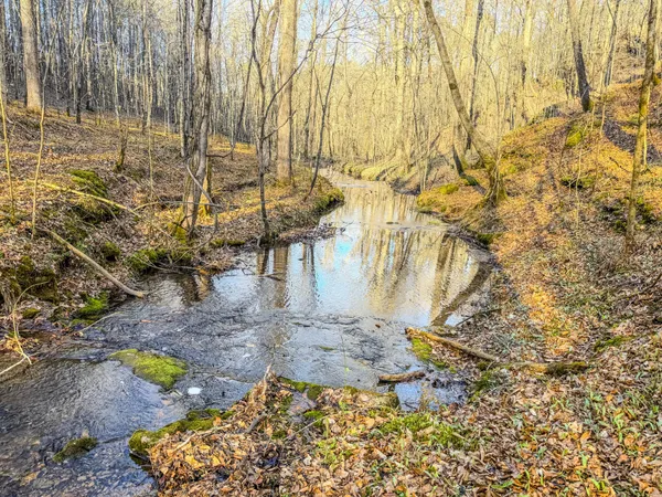 a view of outdoor space