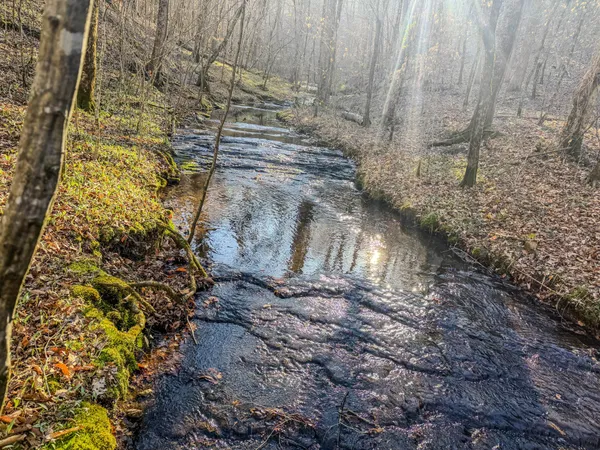 a wooden bench sitting in the middle of a yard