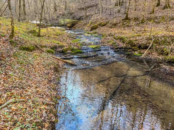 a view of a backyard with of trees