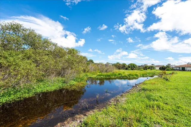 a view of a yard with plants