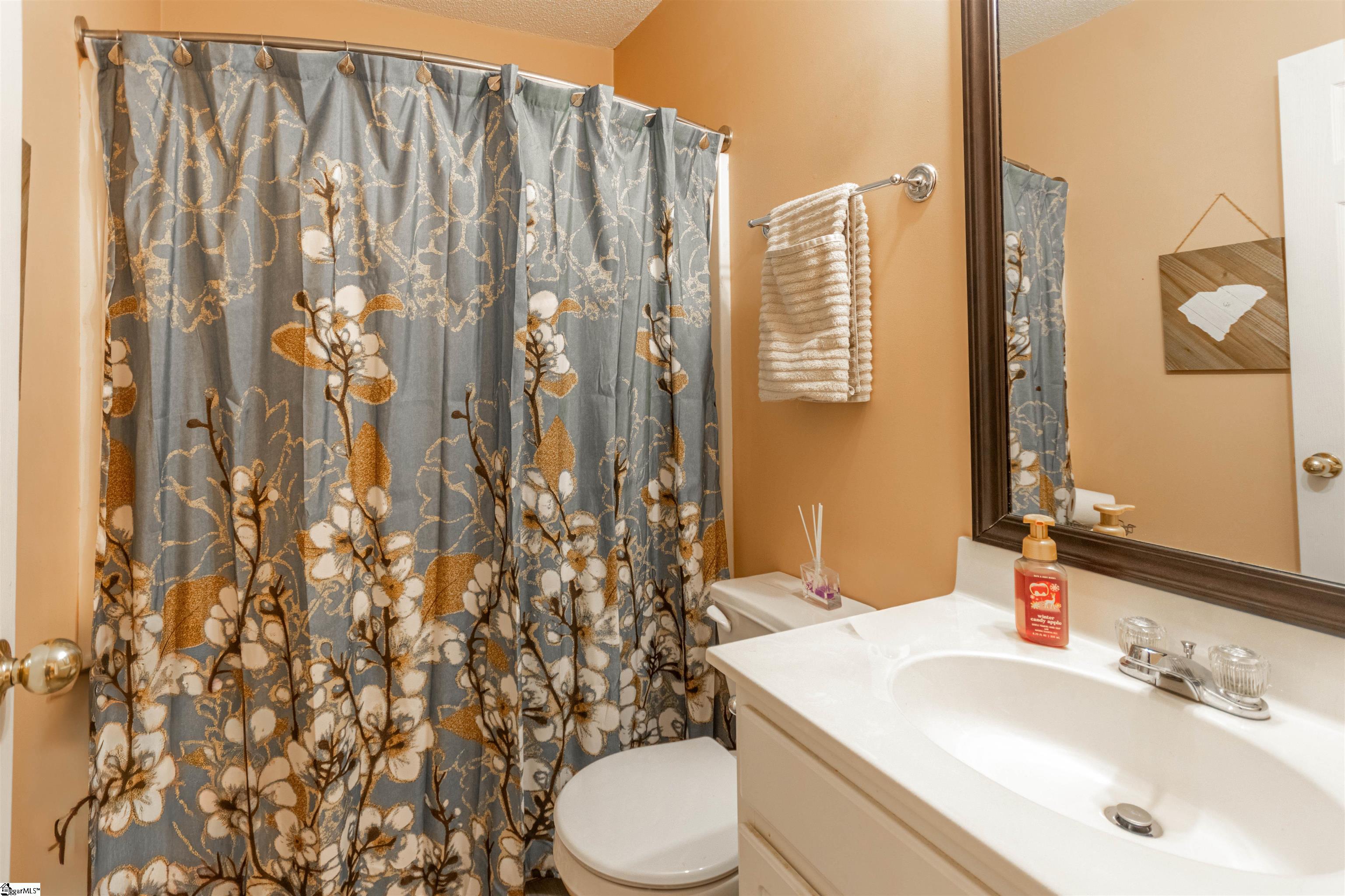 505 Brightfield Lane Greer, SC 29651 - Photo 19 of 24