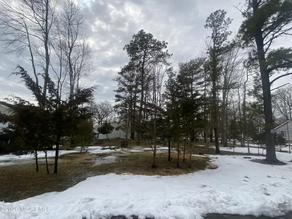 a view of road with trees