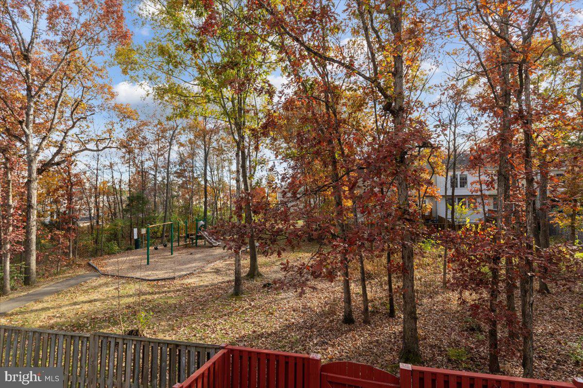 14159 Autumn Circle Centreville, VA 20121 - Photo 14 of 34 a view of a yard with a tree
