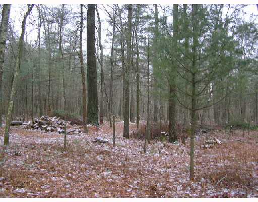 89 Rice City Road Coventry, RI 02827 - Photo 3 of 8 Land/Lot.