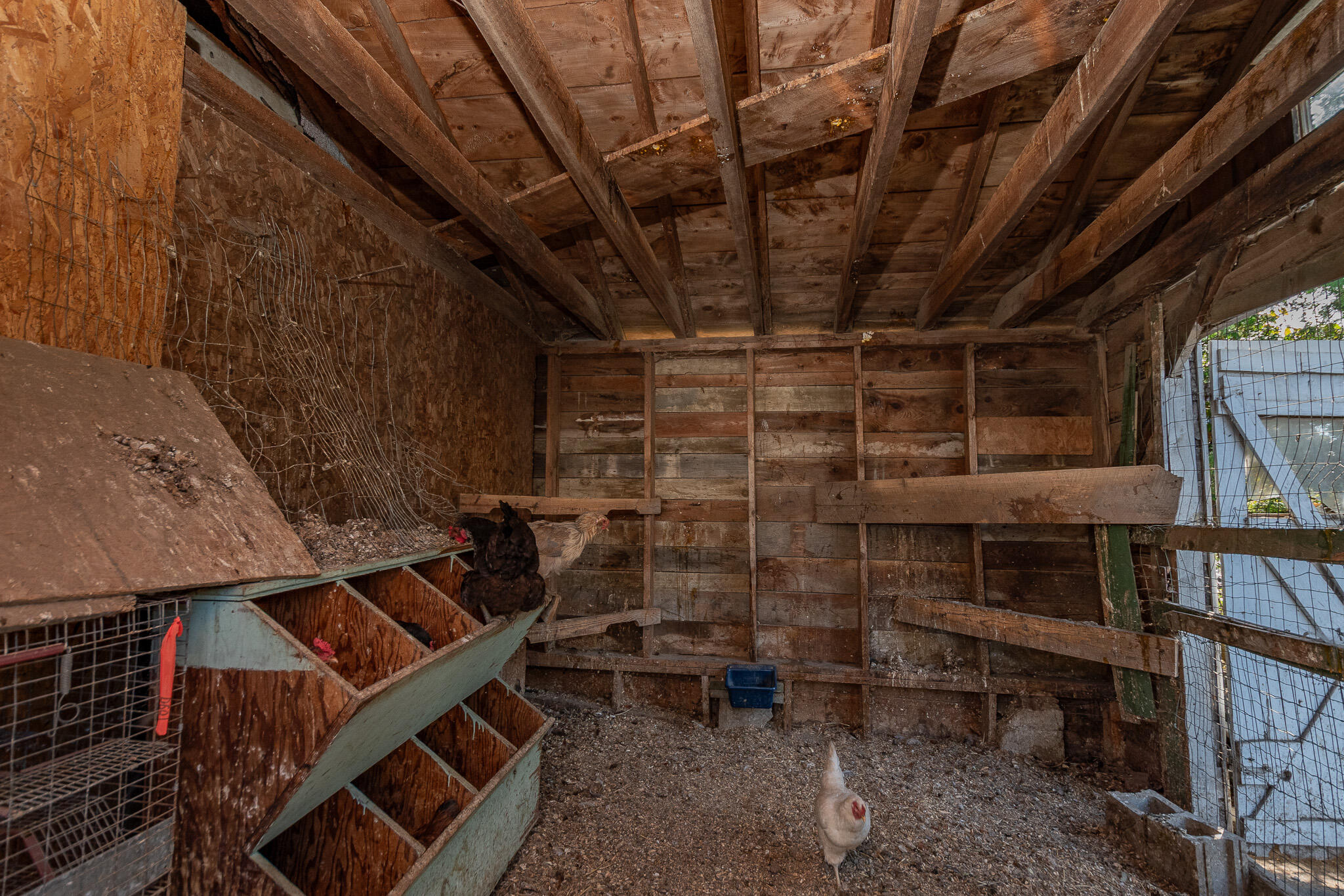 891 Main Street Corinth, ME 04427 - Photo 55 of 92 DSC_0169