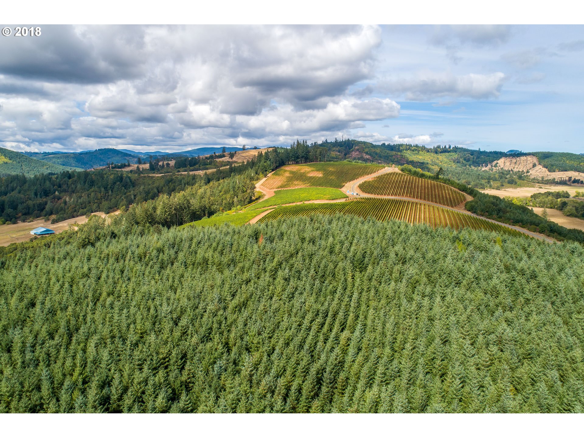 18725 Grauer Road Sheridan, OR 97378 - Photo 11 of 32 Gallery Image 11