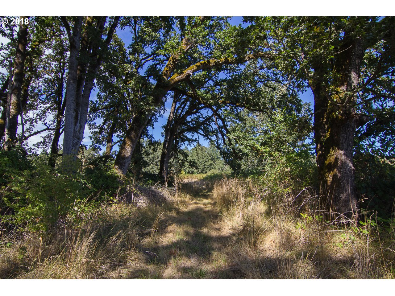 18725 Grauer Road Sheridan, OR 97378 - Photo 29 of 32 Gallery Image 29