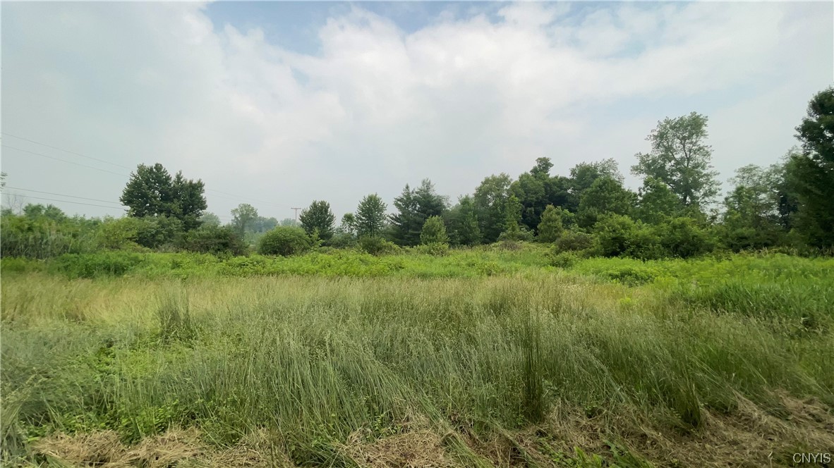 6912 Higginsville Road Verona, NY 13054 - Photo 13 of 46