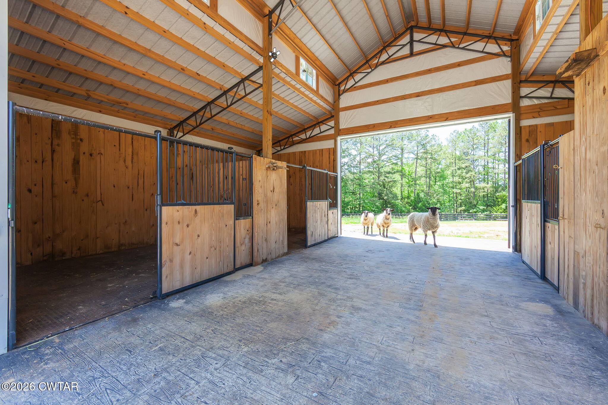 60 Proctor Road Henderson, TN 38340 - Photo 58 of 86 Horse Barn