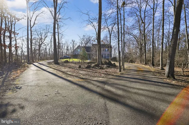 a view of a backyard with large trees