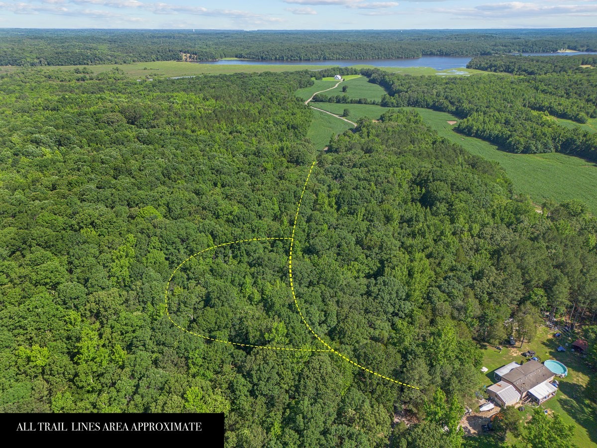 365 Hatley Road Holladay, TN 38341 - Photo 49 of 60 Gallery Image 49