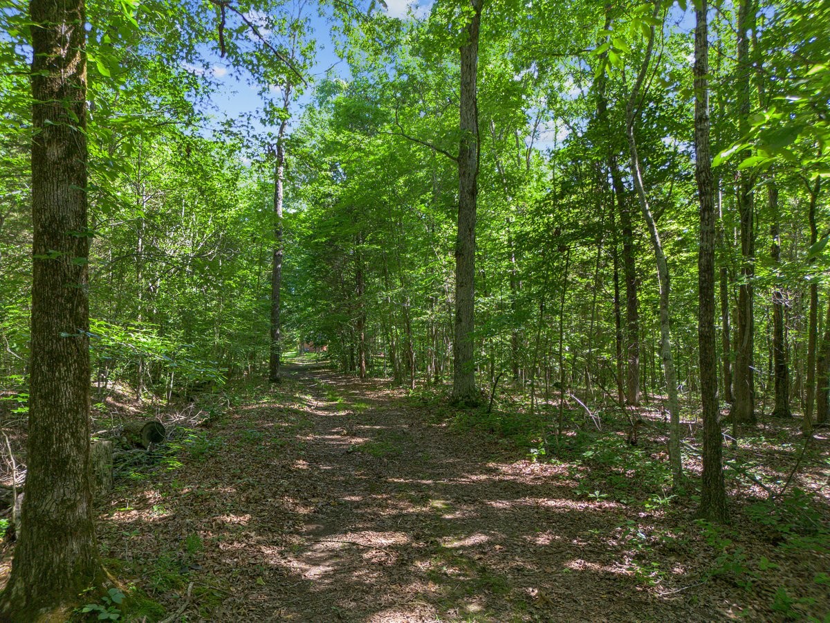 365 Hatley Road Holladay, TN 38341 - Photo 9 of 60 Gallery Image 9