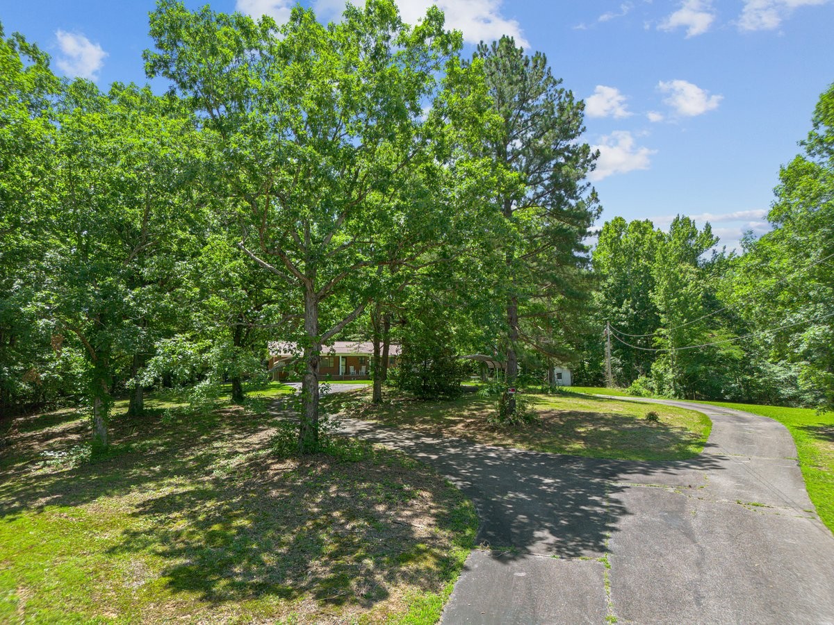 365 Hatley Road Holladay, TN 38341 - Photo 10 of 60 Gallery Image 10