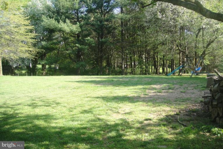 2045 Durham Road Fallston, MD 21047 - Photo 11 of 19 Back yard