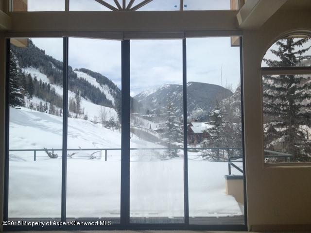 296 Glen Dee Road Aspen, CO 81611 - Photo 5 of 8 LR View 5.jpg