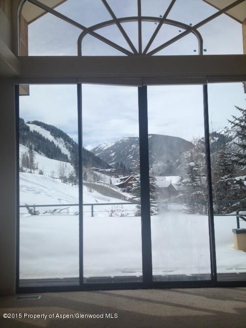 296 Glen Dee Road Aspen, CO 81611 - Photo 6 of 8 Hire close up LR view.jpg