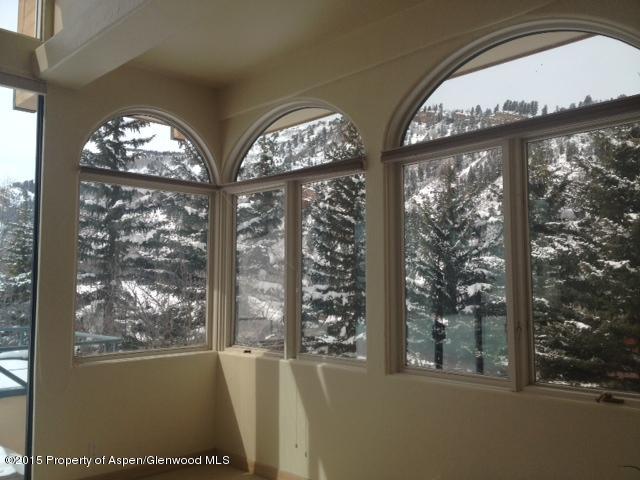 296 Glen Dee Road Aspen, CO 81611 - Photo 7 of 8 Hire side LR 6.JPG