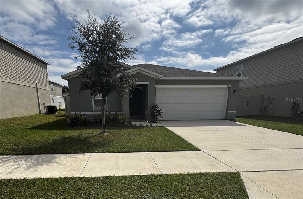 a white house that has a tree in front of it