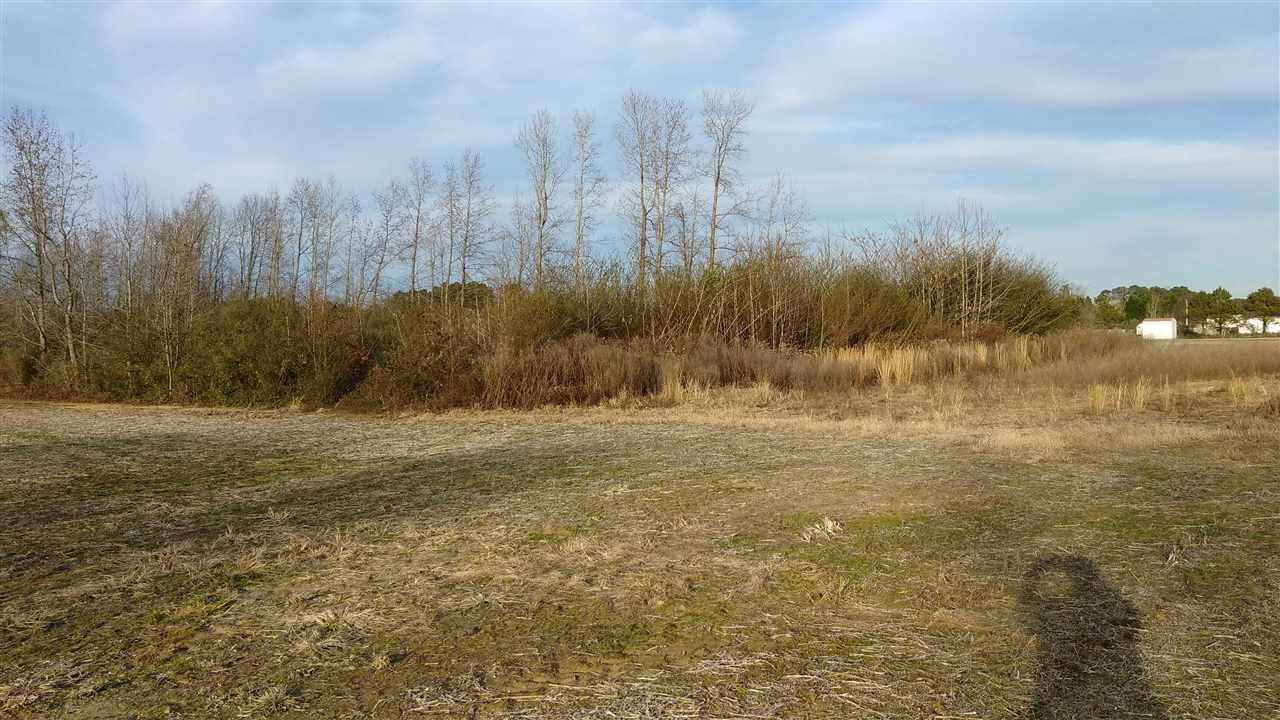 0 Bakers Chapel Road Princeton, NC 27569 - Photo 5 of 5 Photo 5