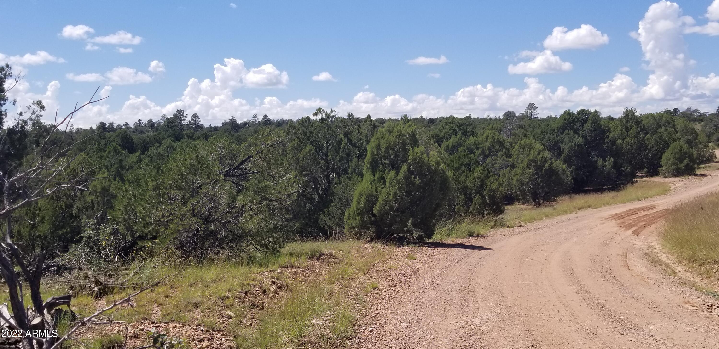 4953 Cemetery Road, Unit 4F Clay Springs, AZ 85923 - Photo 14 of 18 Views15