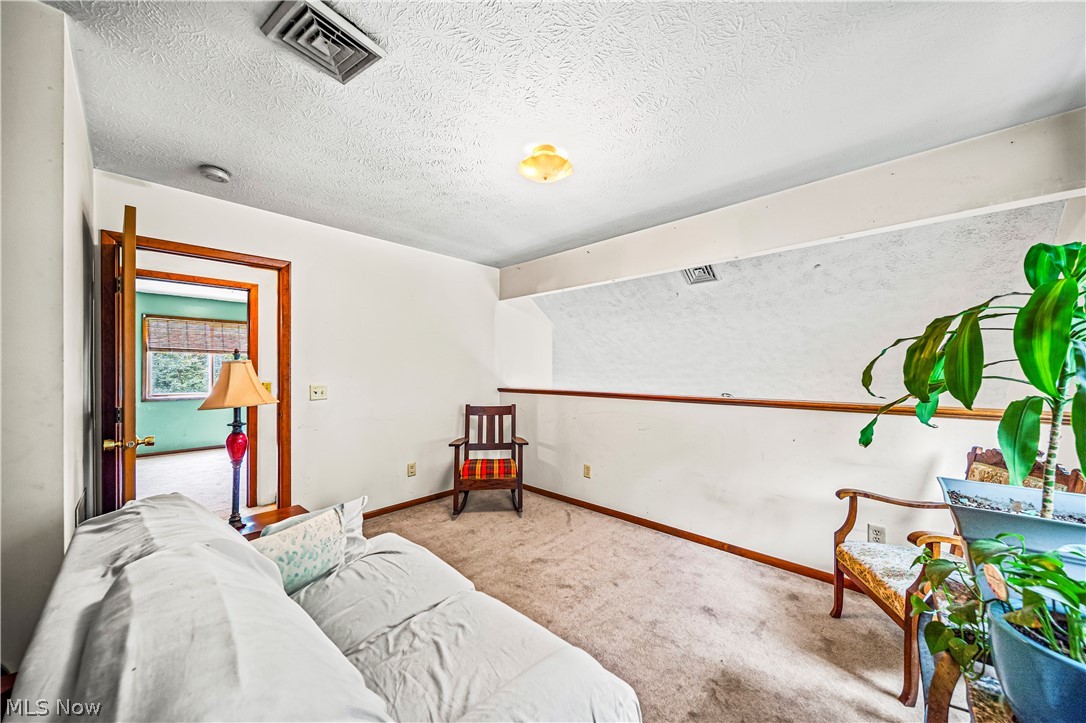 4460 Tower Road Dorset, OH 44032 - Photo 23 of 45 Carpeted living room featuring a textured ceiling