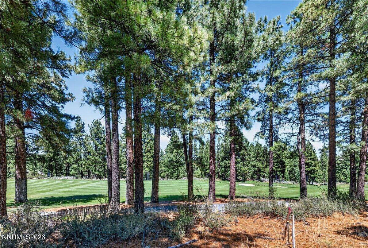 4665 Alpes Way Reno, NV 89511 - Photo 6 of 19 06-DSC_4278