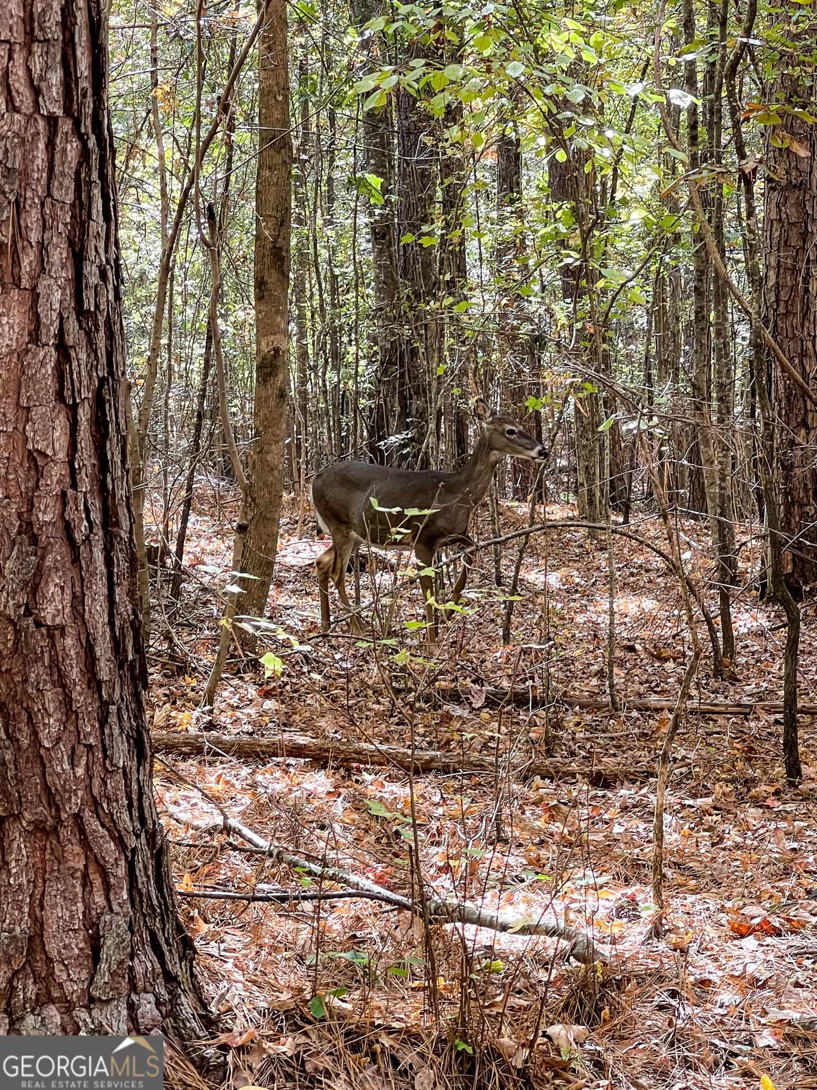 1730 Campbell Road Covington, GA 30014 - Photo 12 of 21