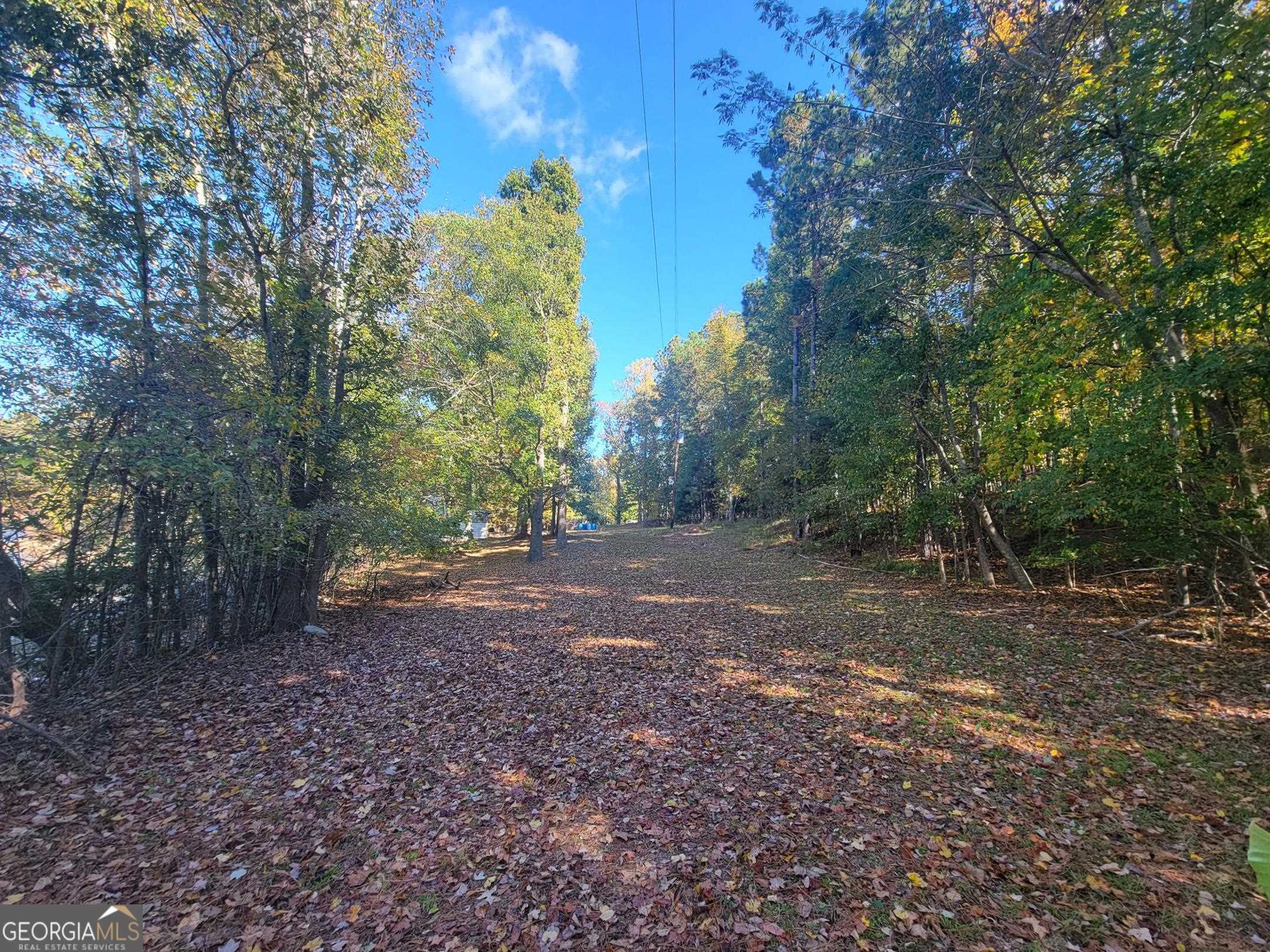1730 Campbell Road Covington, GA 30014 - Photo 14 of 21 a view of a forest with trees in the background
