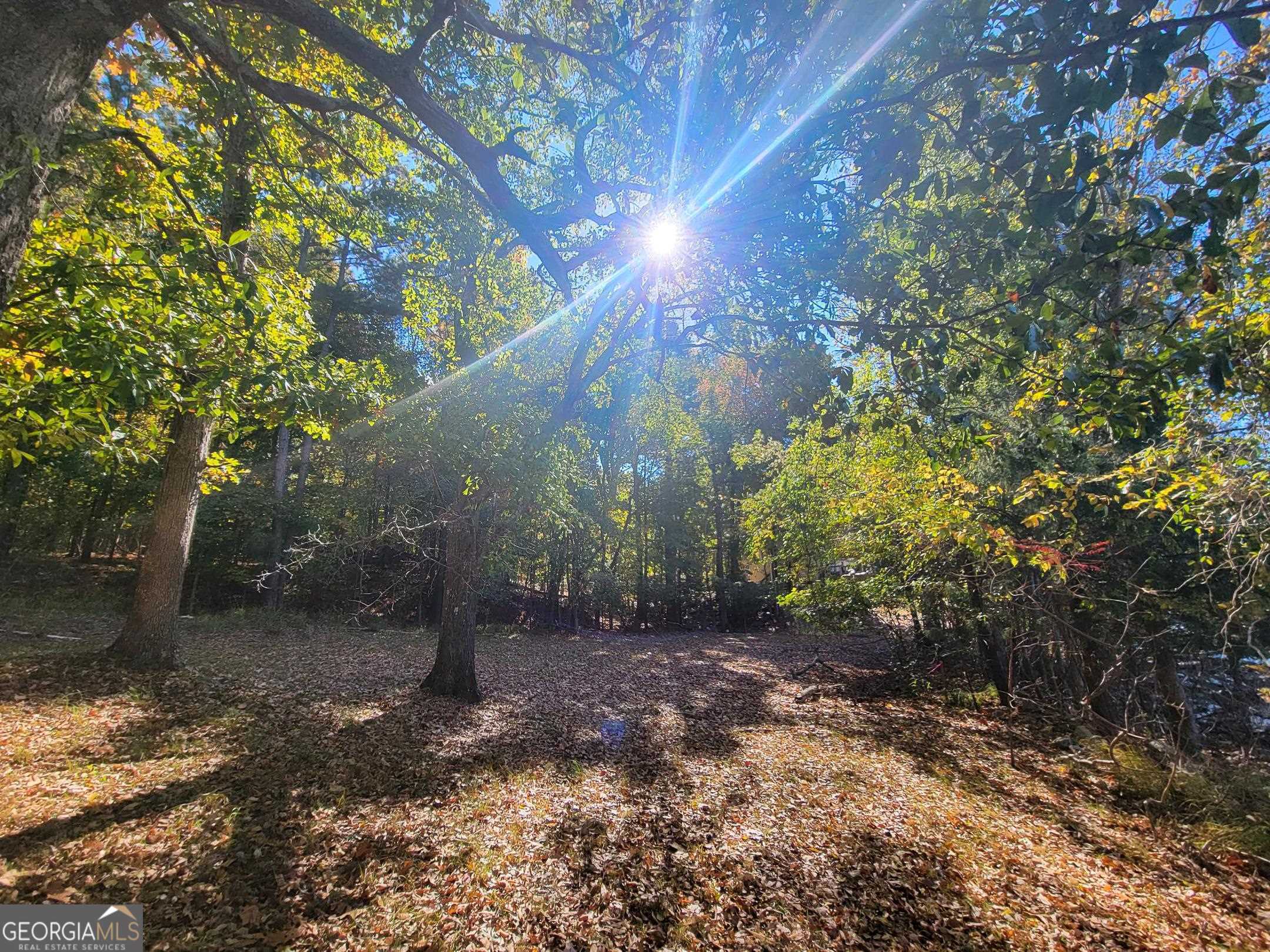 1730 Campbell Road Covington, GA 30014 - Photo 17 of 21 a view of an outdoor space