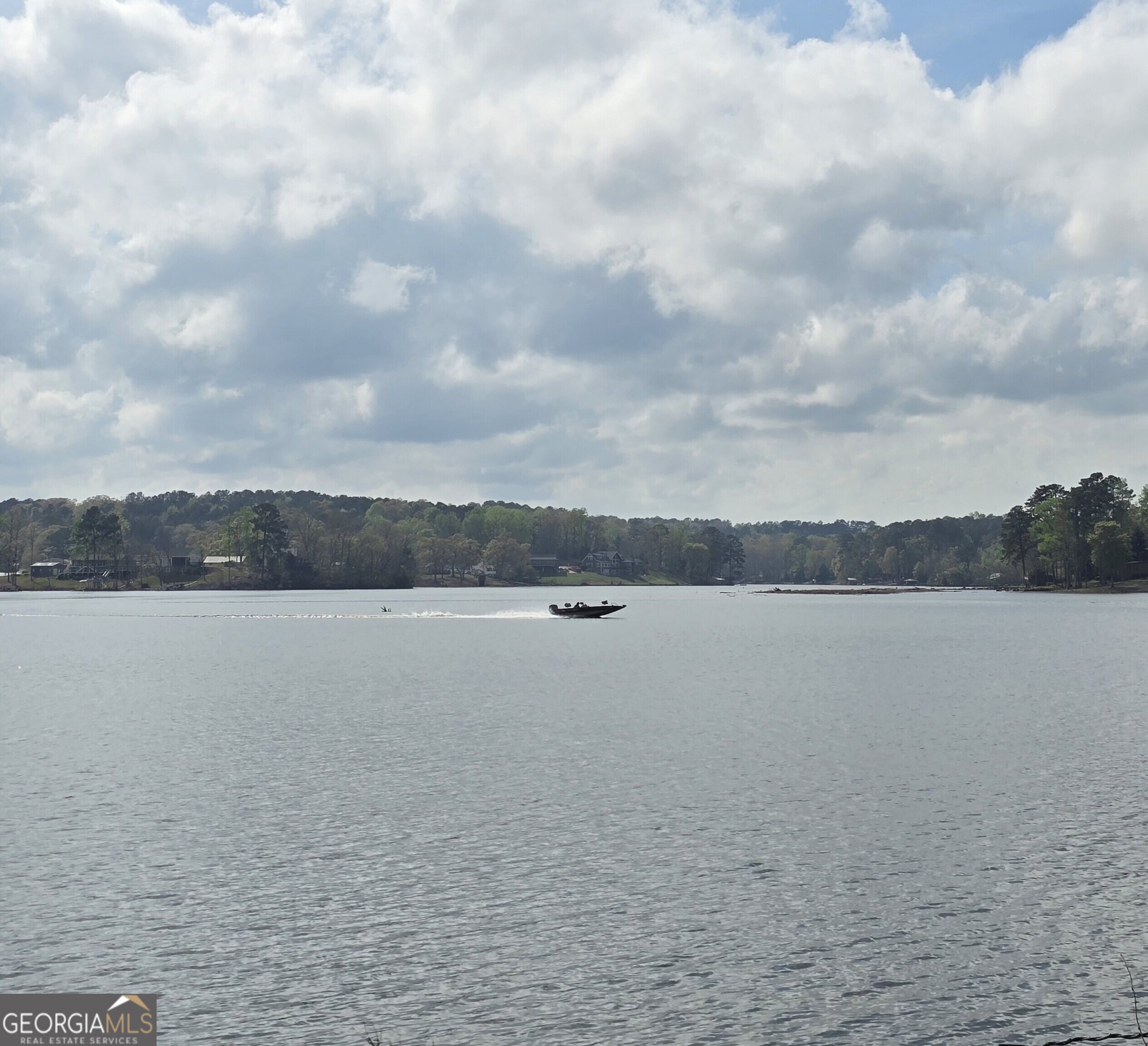 1730 Campbell Road Covington, GA 30014 - Photo 20 of 21 a view of lake