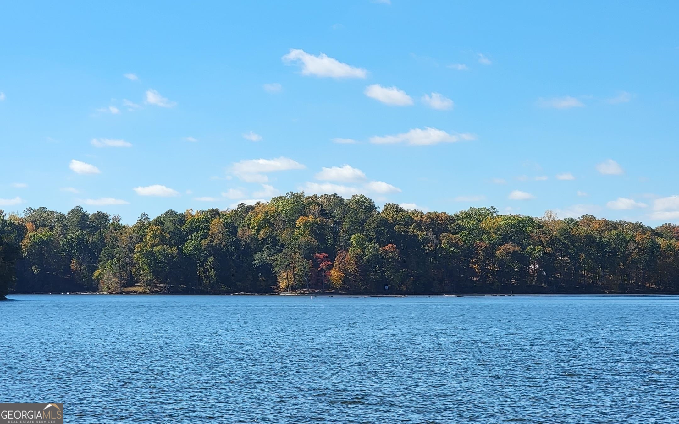 1730 Campbell Road Covington, GA 30014 - Photo 5 of 21 a view of a yard