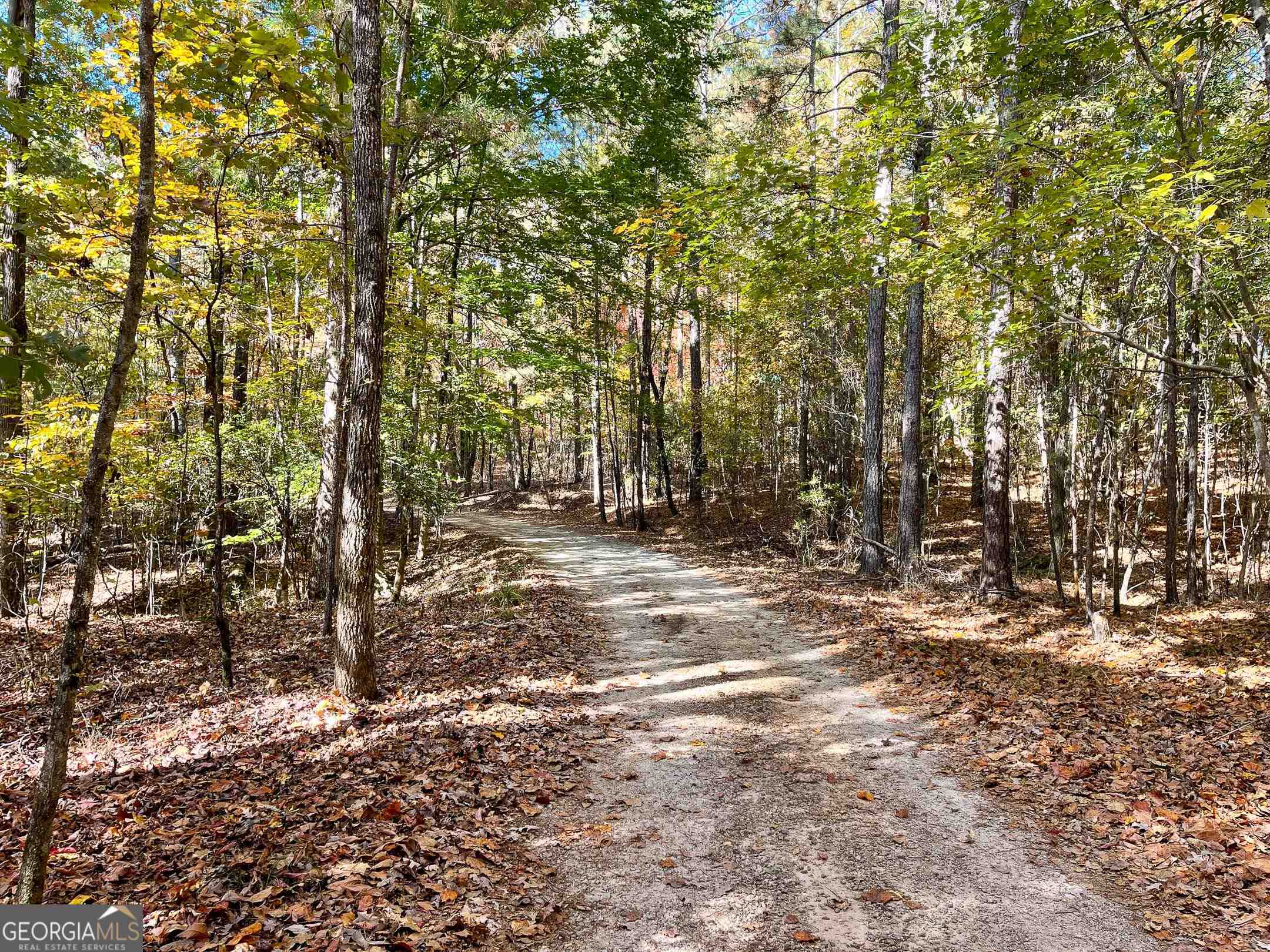 1730 Campbell Road Covington, GA 30014 - Photo 7 of 21 a view of dirt yard with a large tree