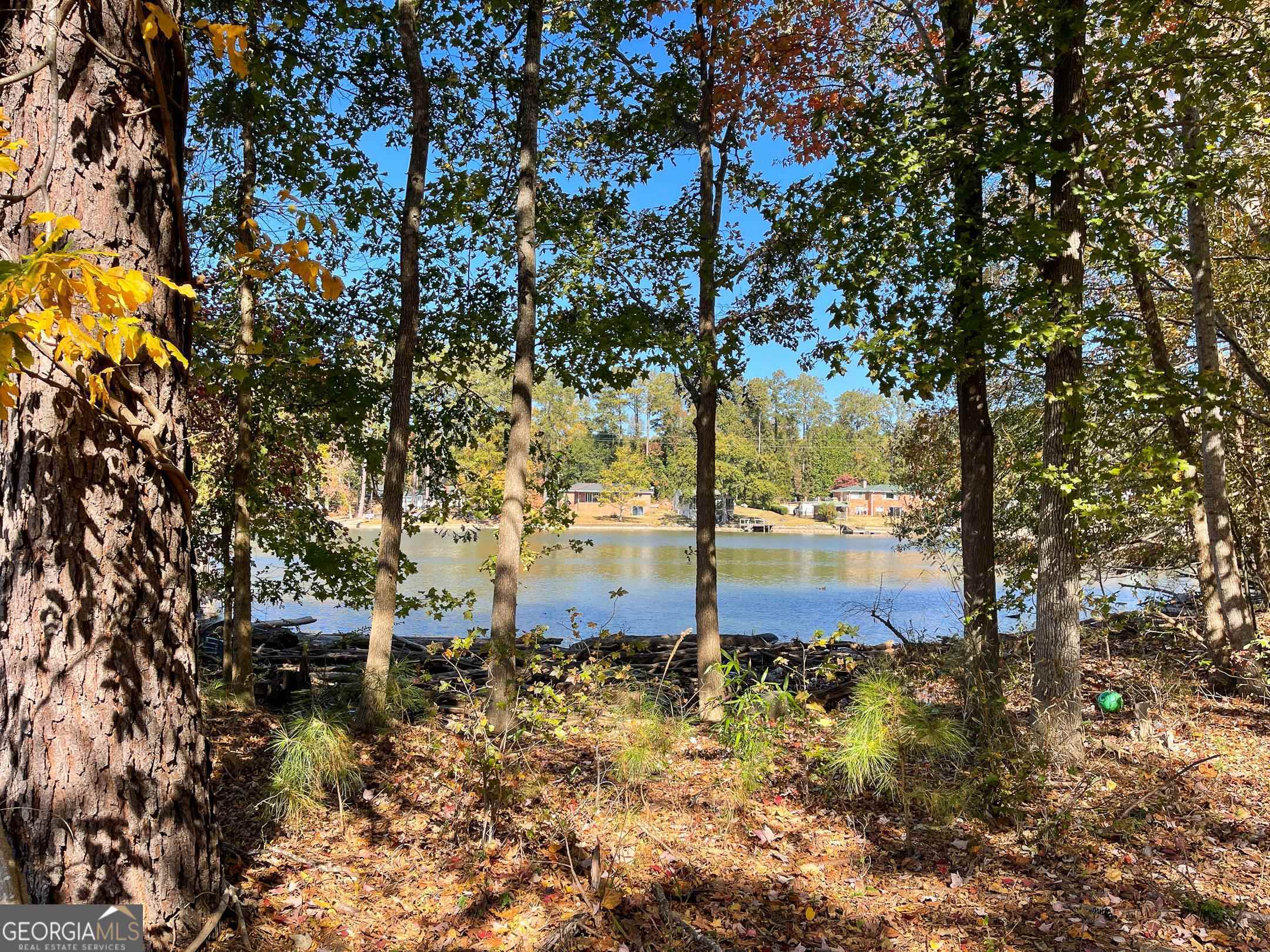 1730 Campbell Road Covington, GA 30014 - Photo 8 of 21 a view of a yard