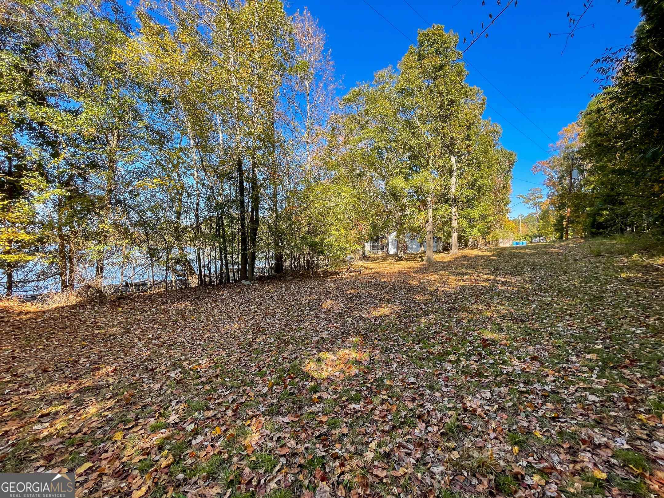 1730 Campbell Road Covington, GA 30014 - Photo 9 of 21 a view of open space with green space