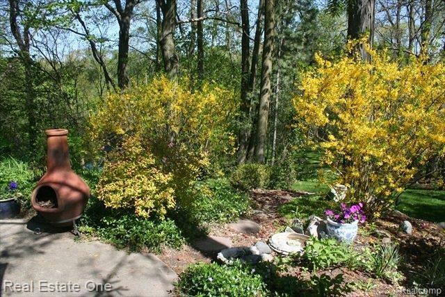 560 Lake Forest Road Rochester, MI 48309 - Photo 6 of 13 backyard2.JPG