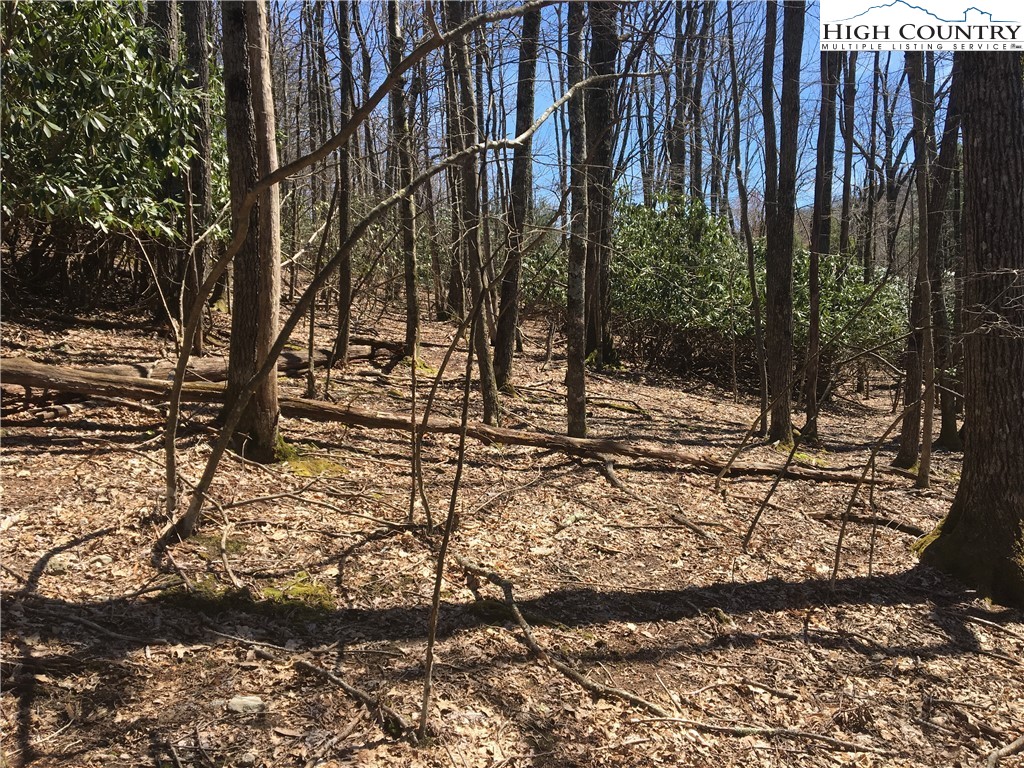 Lot 16 Goshen Drive Boone, NC 28607 - Photo 2 of 6 Gallery Image 2