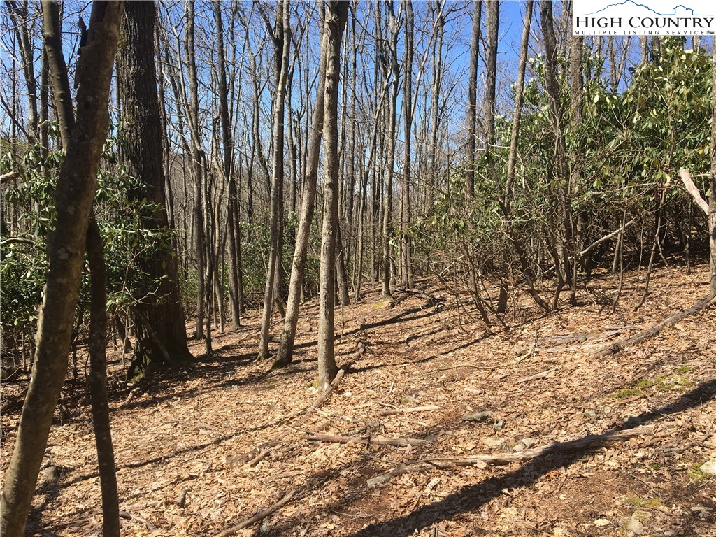 Lot 16 Goshen Drive Boone, NC 28607 - Photo 3 of 6 Gallery Image 3